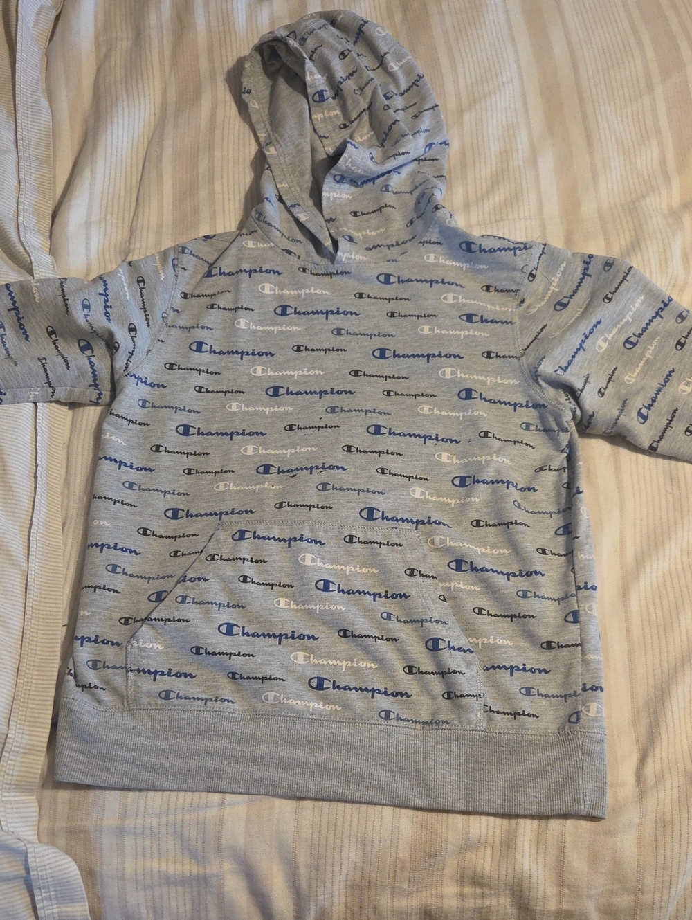 Champion Light Gray Hoodie with Blue & White Logo Print